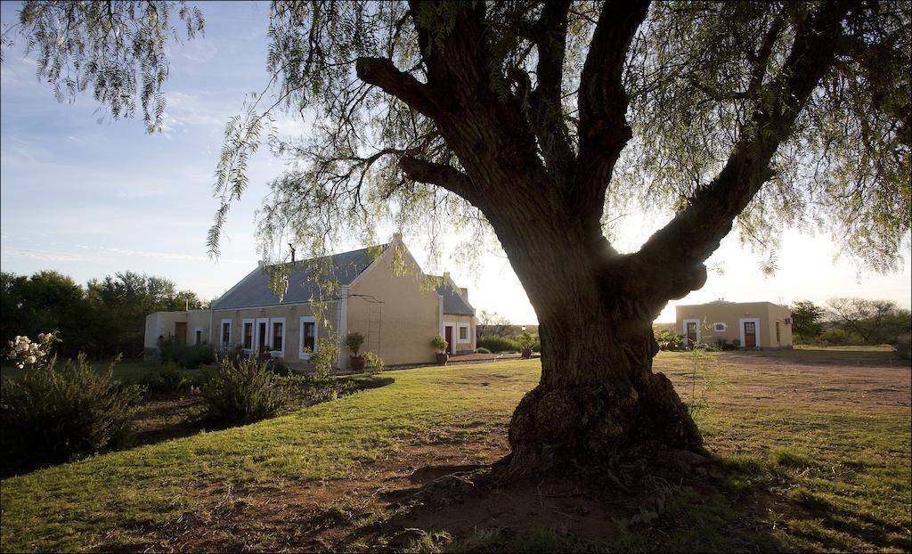 Rietfontein Ostrich Palace Vleirivier Eksteriør billede