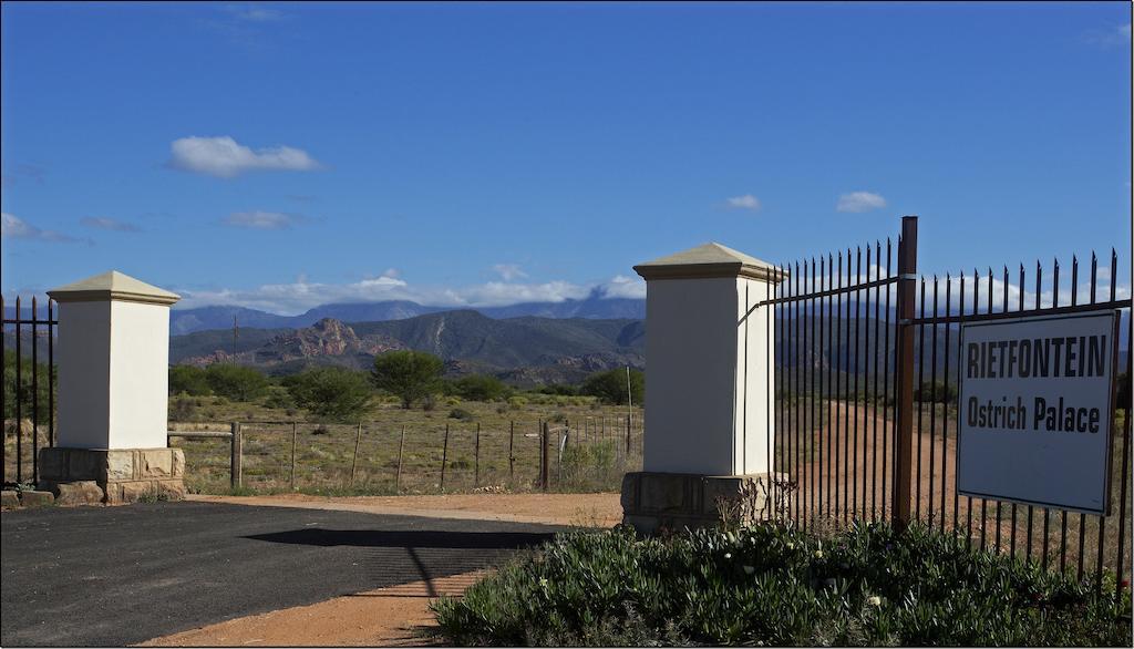Rietfontein Ostrich Palace Vleirivier Eksteriør billede